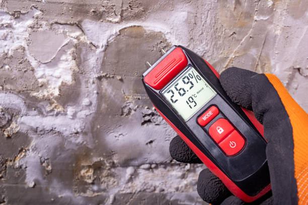 Best Water Damage Restoration  in Hybla Lley, VA