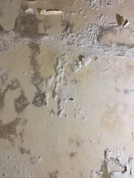 Water Damage Restoration in Hybla Valley, VA